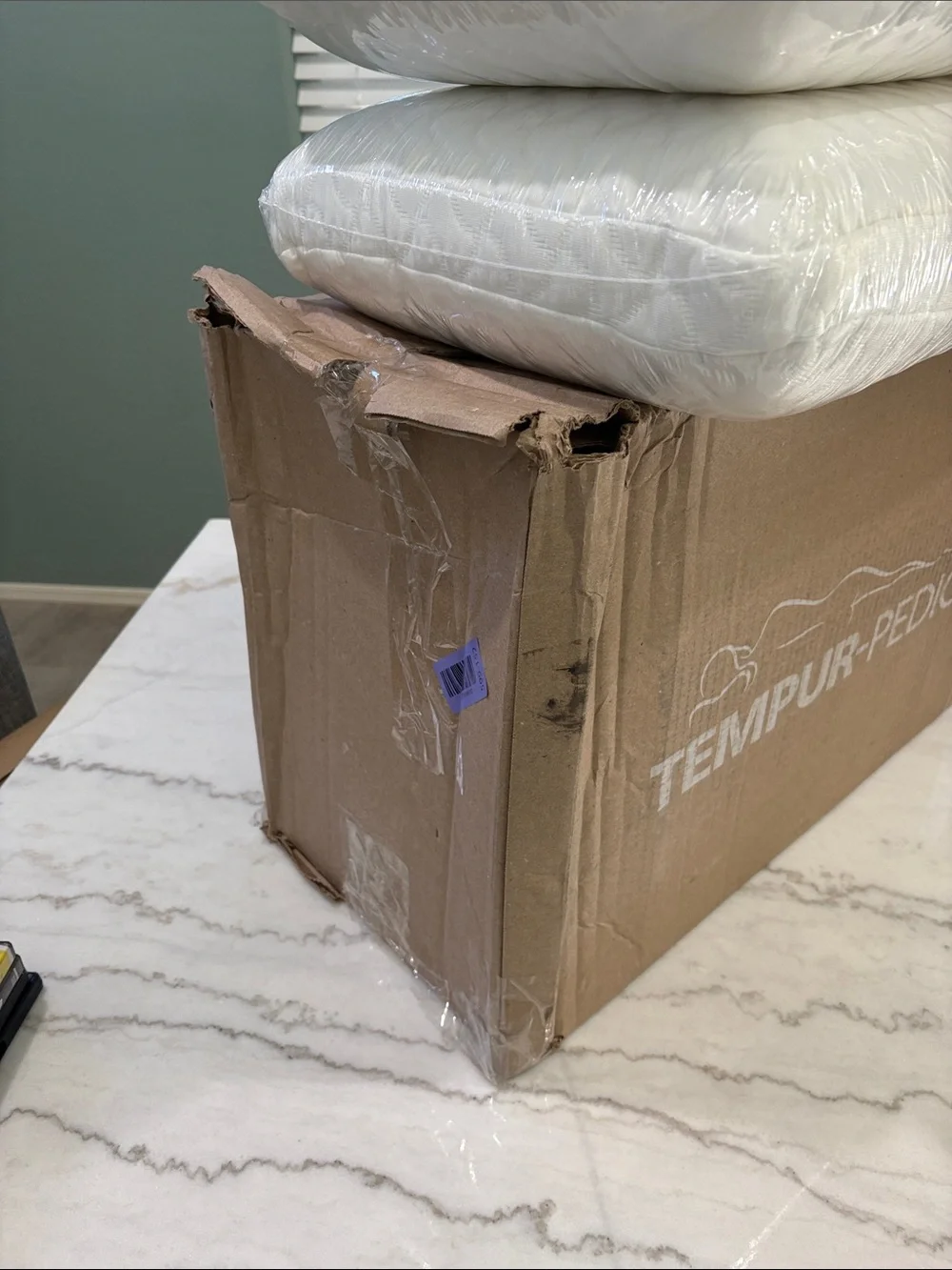 Tempur-Pedic Cloud Pillows 2 Pack